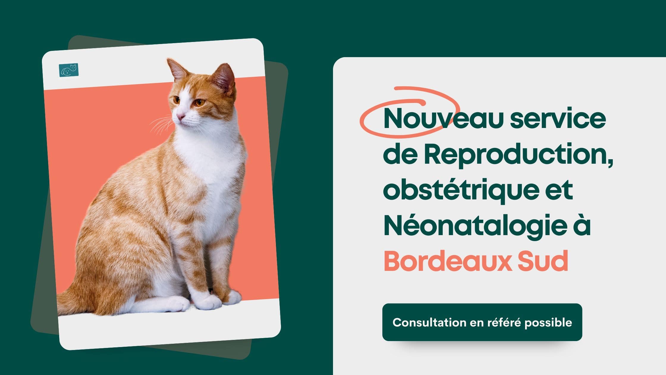Nouveau service à Bordeaux Sud