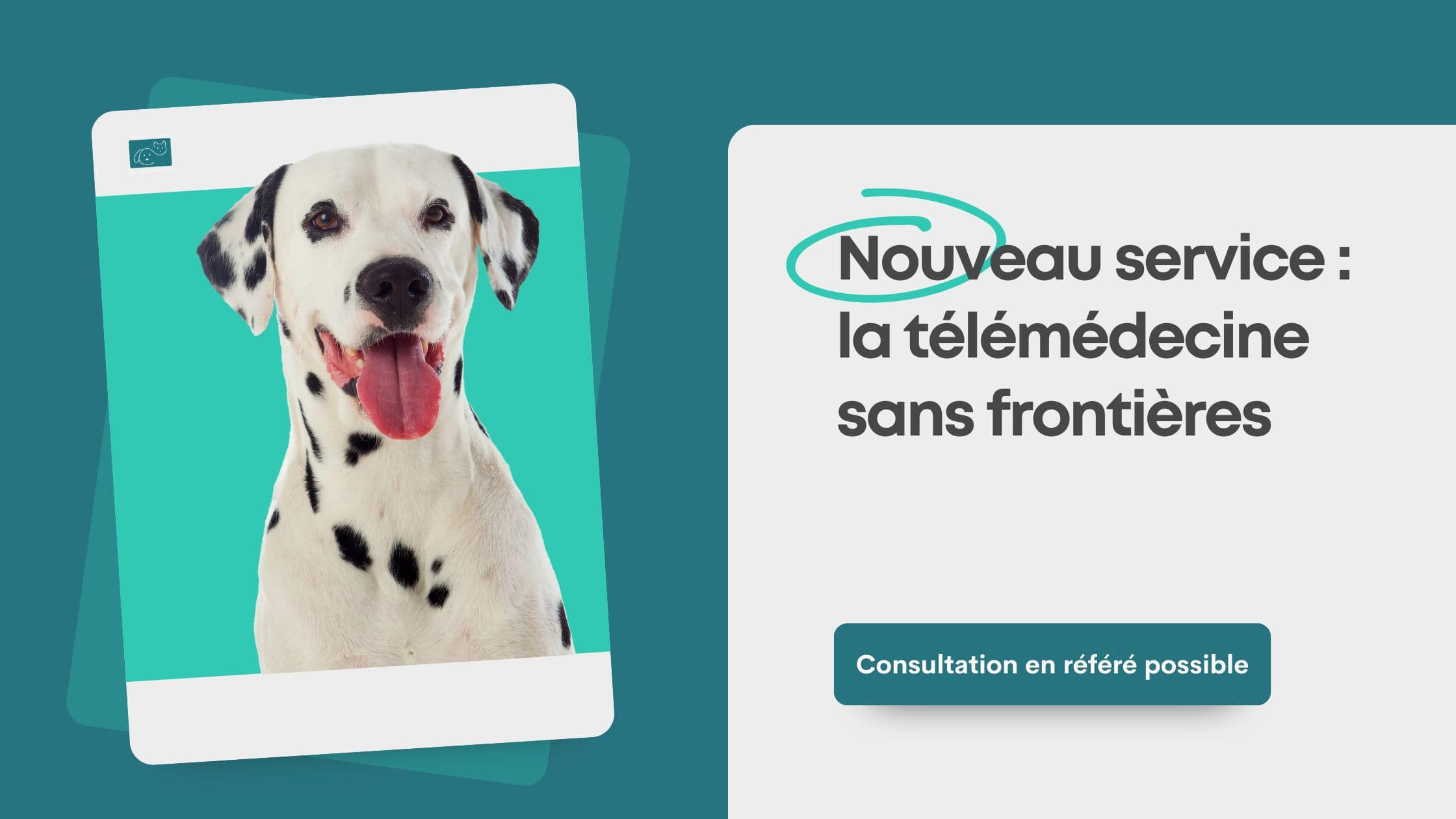 Service télémédecine