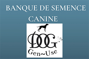 Lire la suite à propos de l’article DOG-GEN-USE, Banque de Semence