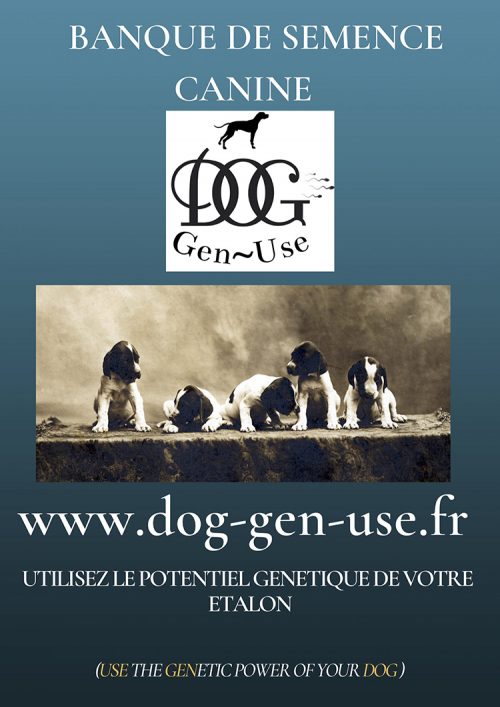 dog-gen-use